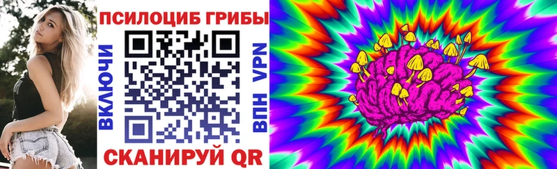 Галлюциногенные грибы мухоморы  Купить закладки  Гаврилов Посад 