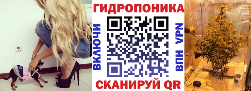 Каннабис индика Купить где Гаврилов Посад